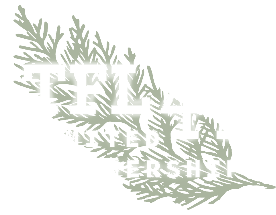 TFL44_logo_WhiteGreenBlendLtClear